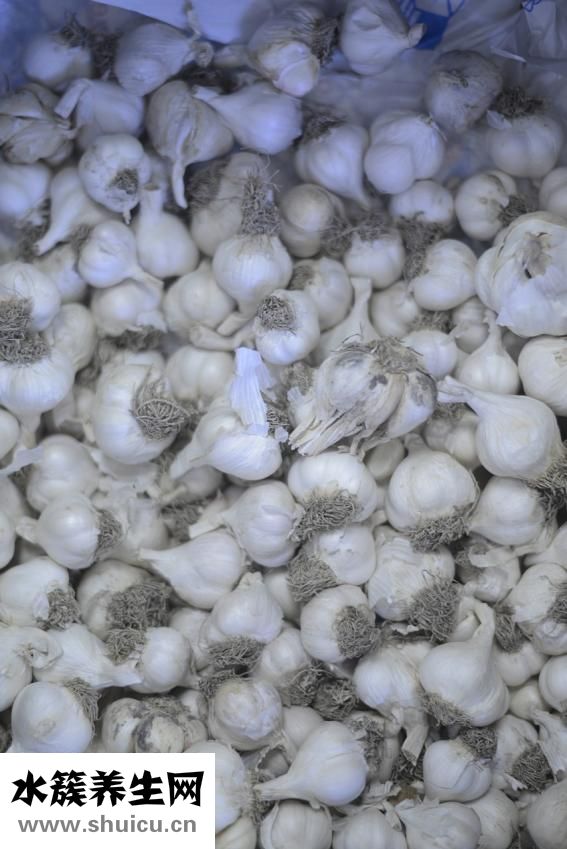 早上起來口臭怎么辦