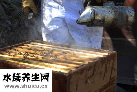 蜂蜜有什么好處