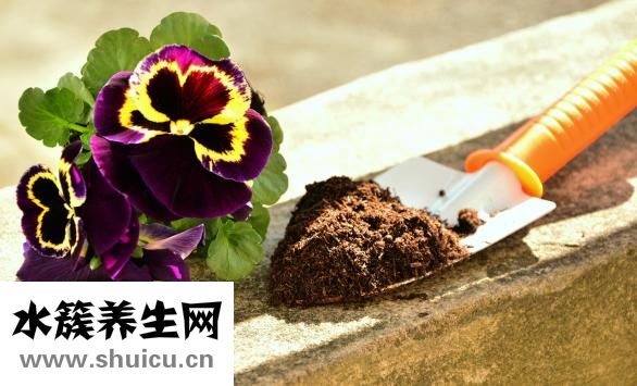 怎么消除眼角皺紋