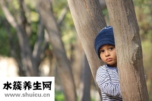 含堿性的食物有哪些