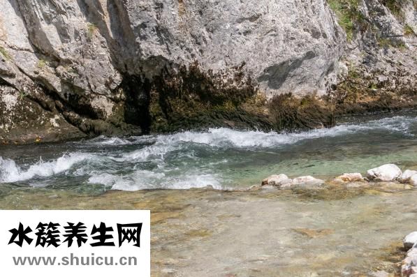 怎么清洗飲水機(jī)