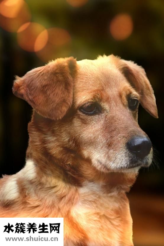 怎么能讓鼻子變挺