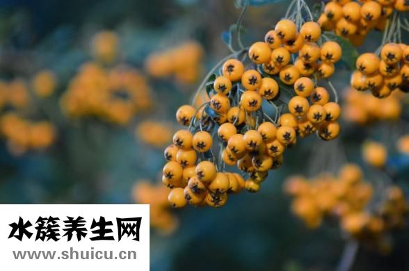 如何測(cè)排卵期