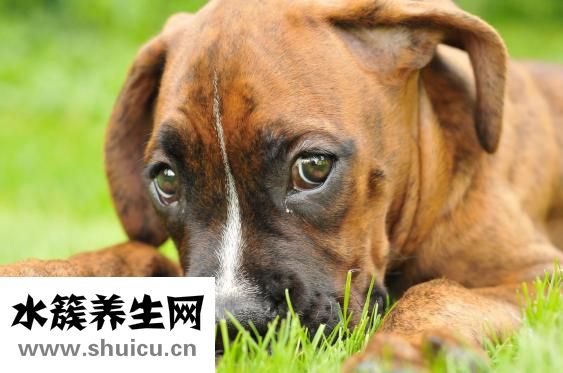 鼻子歪了怎么辦