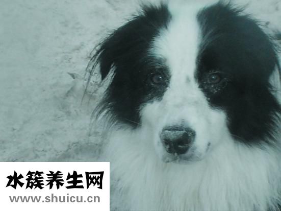 怎么能讓鼻子變挺