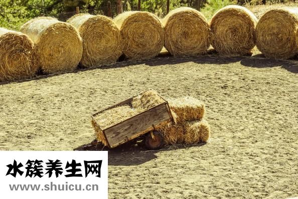 帶土的字有哪些