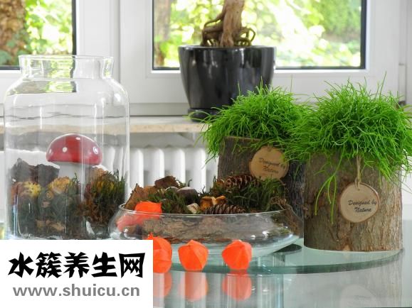 怎么消除眼部皺紋