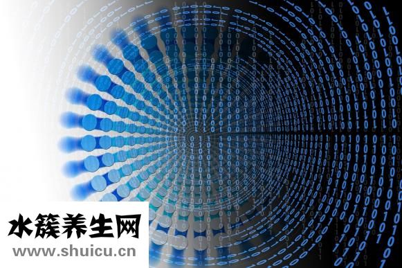 衛(wèi)生棉條是什么