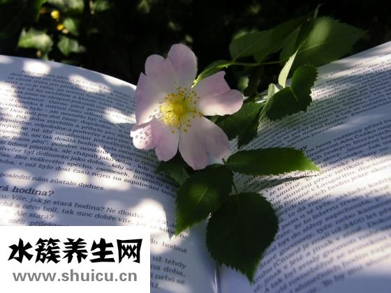 骨髓瘤能活多久