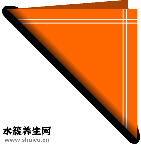 衛(wèi)生棉條是什么