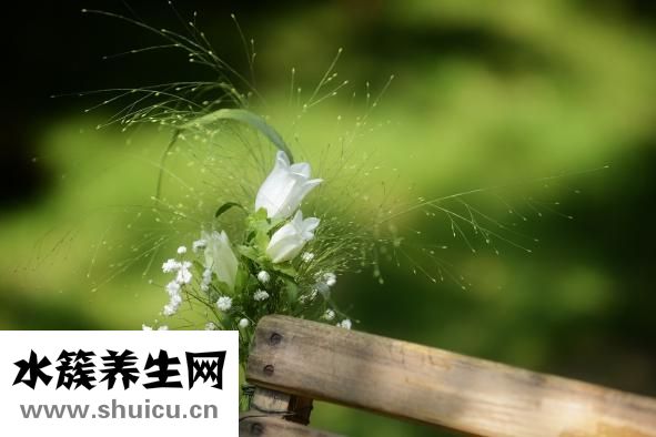 骨髓瘤能活多久