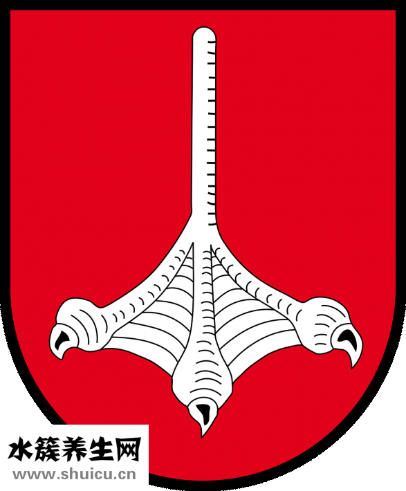 怎么才能讓鼻子變高