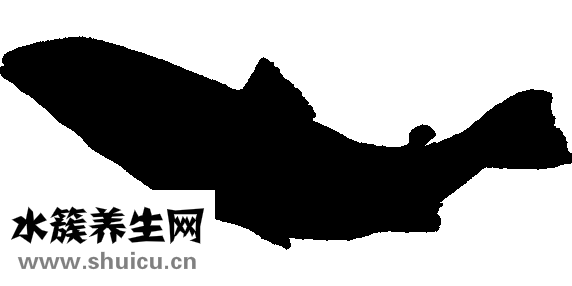 男人為什么會遺精