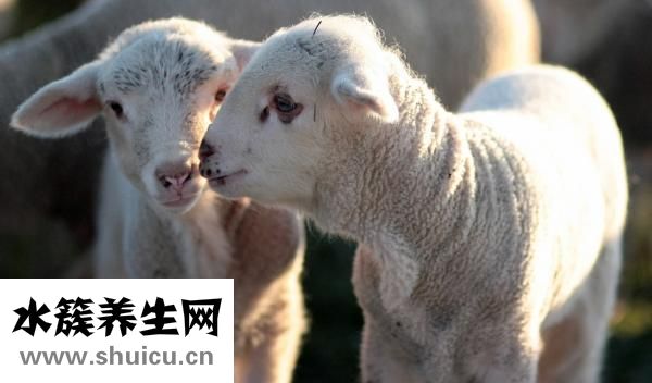 臉色發(fā)黃怎么辦