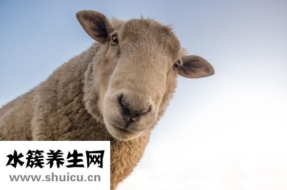 臉色發(fā)黃怎么辦