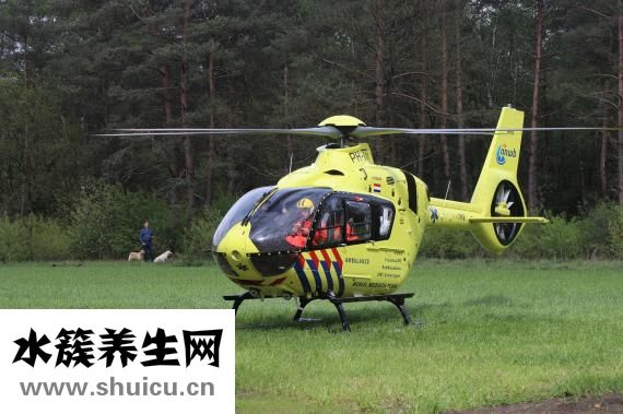 失眠多夢吃什么藥