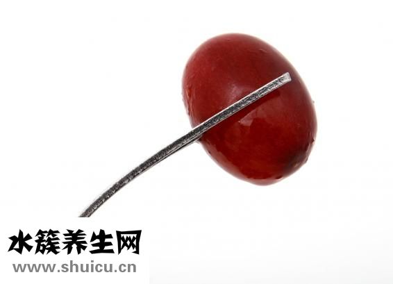 拉肚子可以吃什么菜