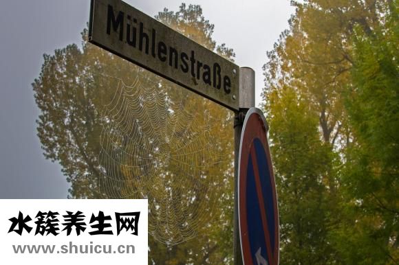 怎么樣才可以去眼袋