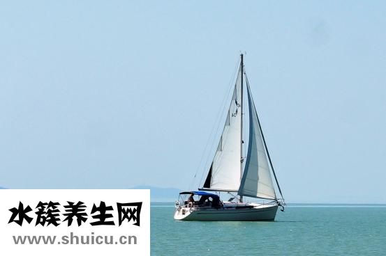 明星怎么減肥的