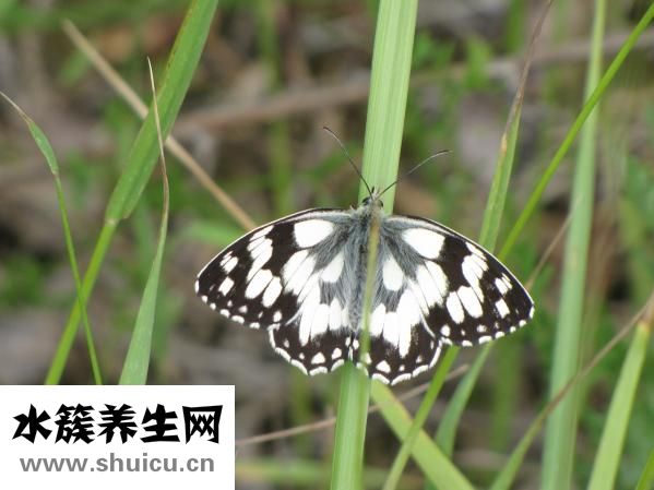 寶寶屁股紅怎么辦