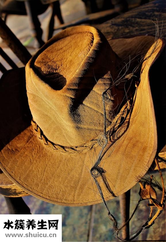 頭發掉得厲害怎么辦