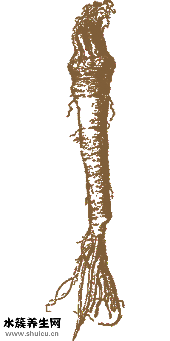 去痘印用什么好