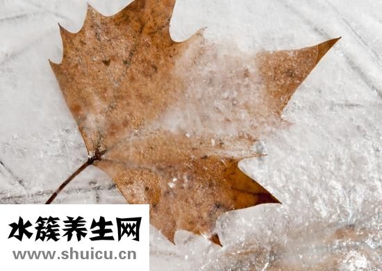 面霜什么時候用