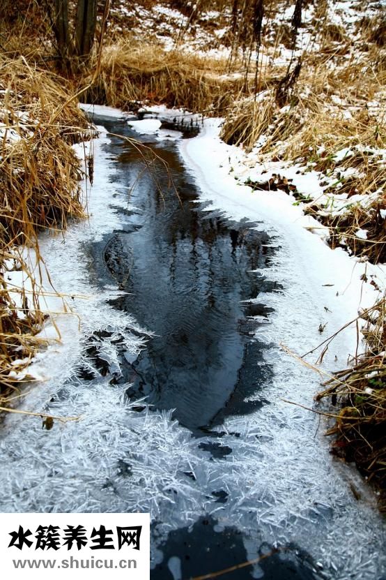 如何去除臉上的色斑