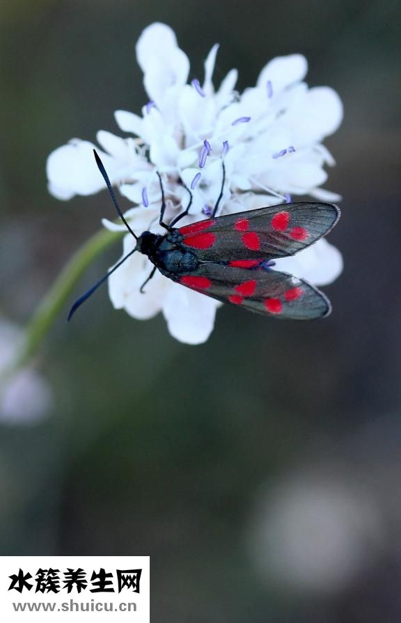 如何緩解眼疲勞