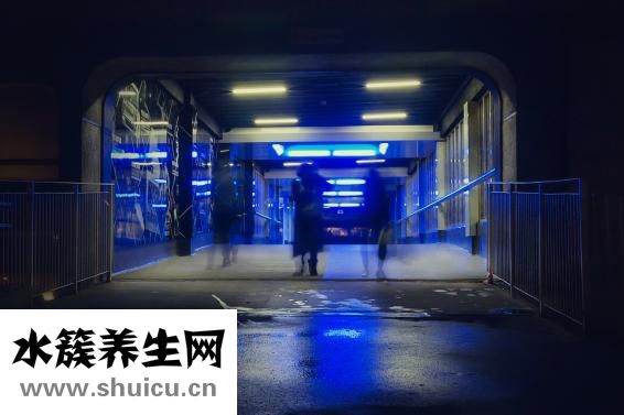 想減肥晚餐吃什么