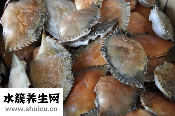 得了濕疹不能吃什么