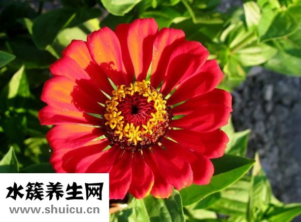 怎么用易經(jīng)算卦