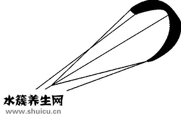 怎么樣快速美白