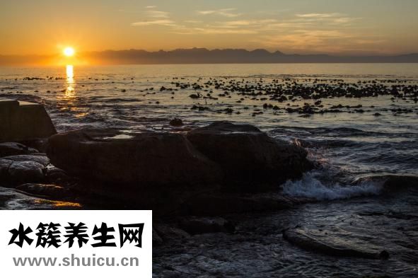 怎么祛斑和美白