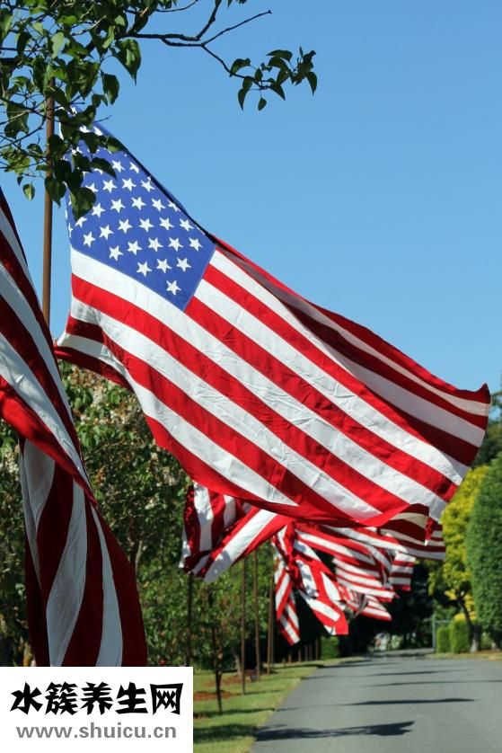 結婚紀念日送什么花