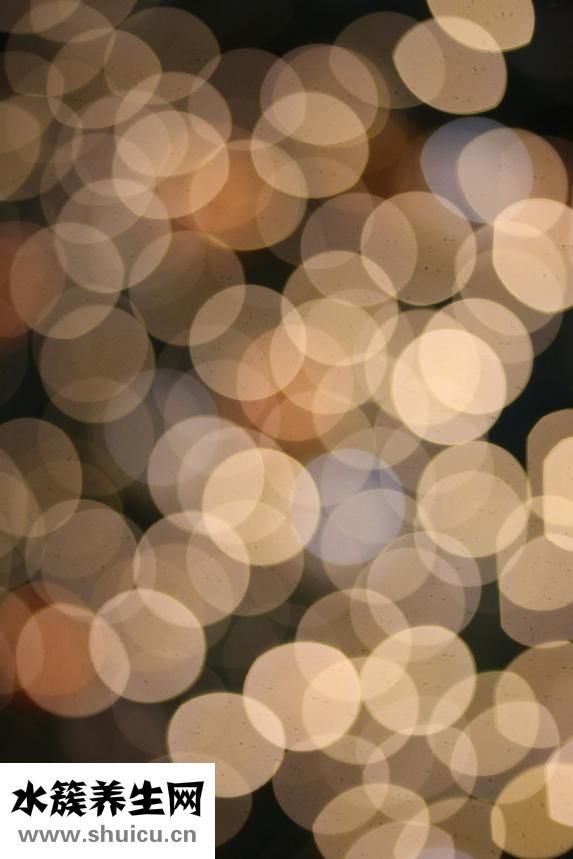 犬瘟熱怎么治療