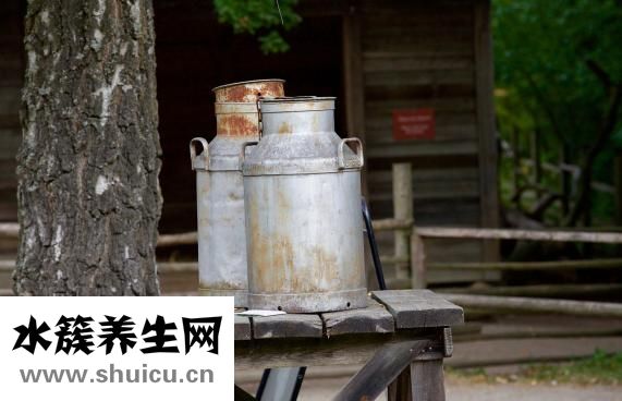 胃痛吃什么食物好