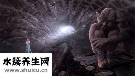 結婚紀念日送什么花