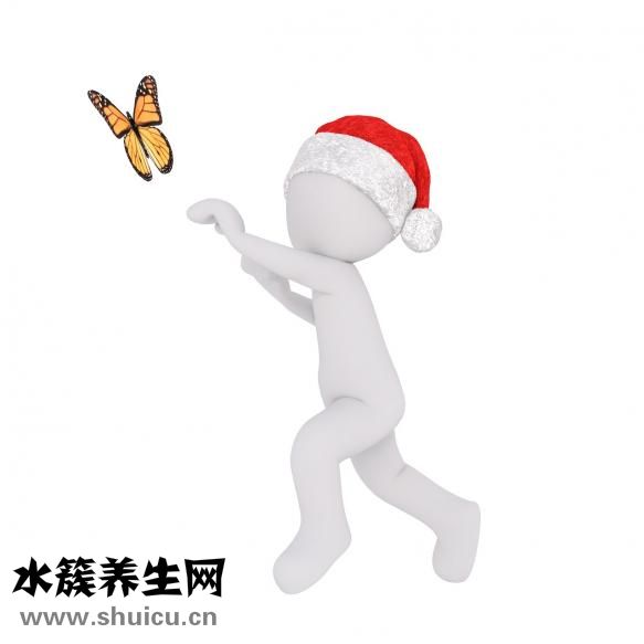 老年人吃什么水果好