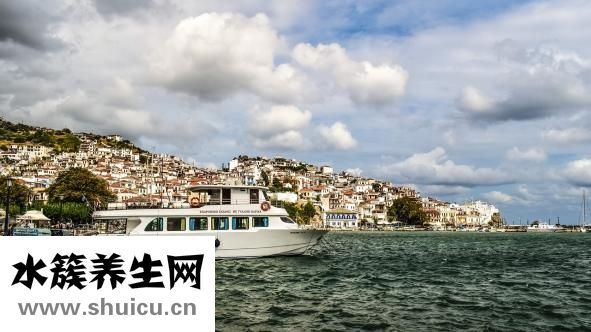 老婆出軌我該怎么辦