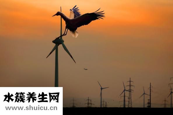 斷奶奶漲怎么辦