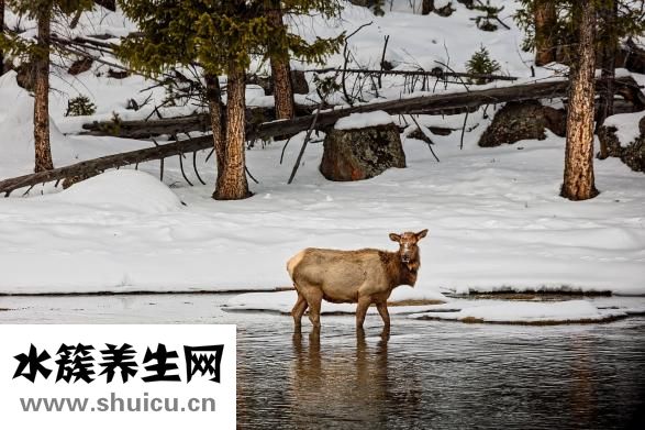 杜牧的詩有哪些