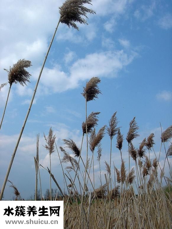 運動后多久喝水