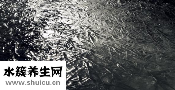 四環素牙如何變白