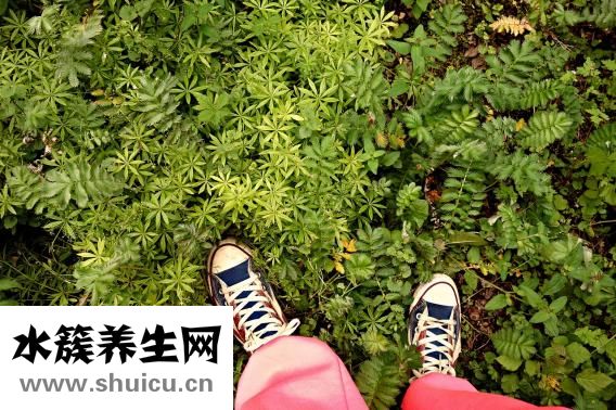 生育險有什么用