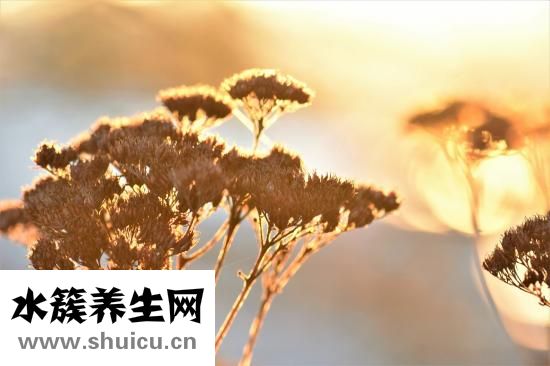 心情不好怎么發泄