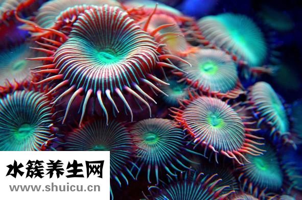 科技館里有什么