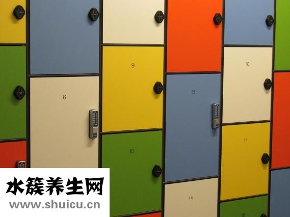 怎么樣泡黃蜂酒