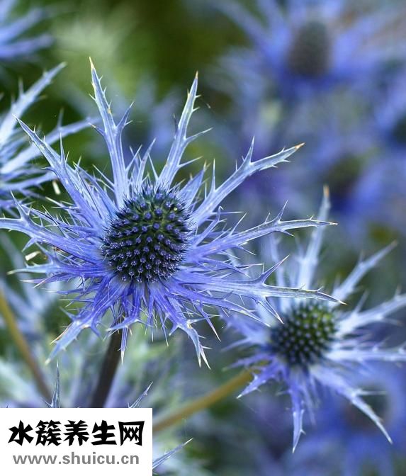 沒有學位證怎么辦