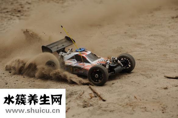 誤食青芥辣會怎么樣